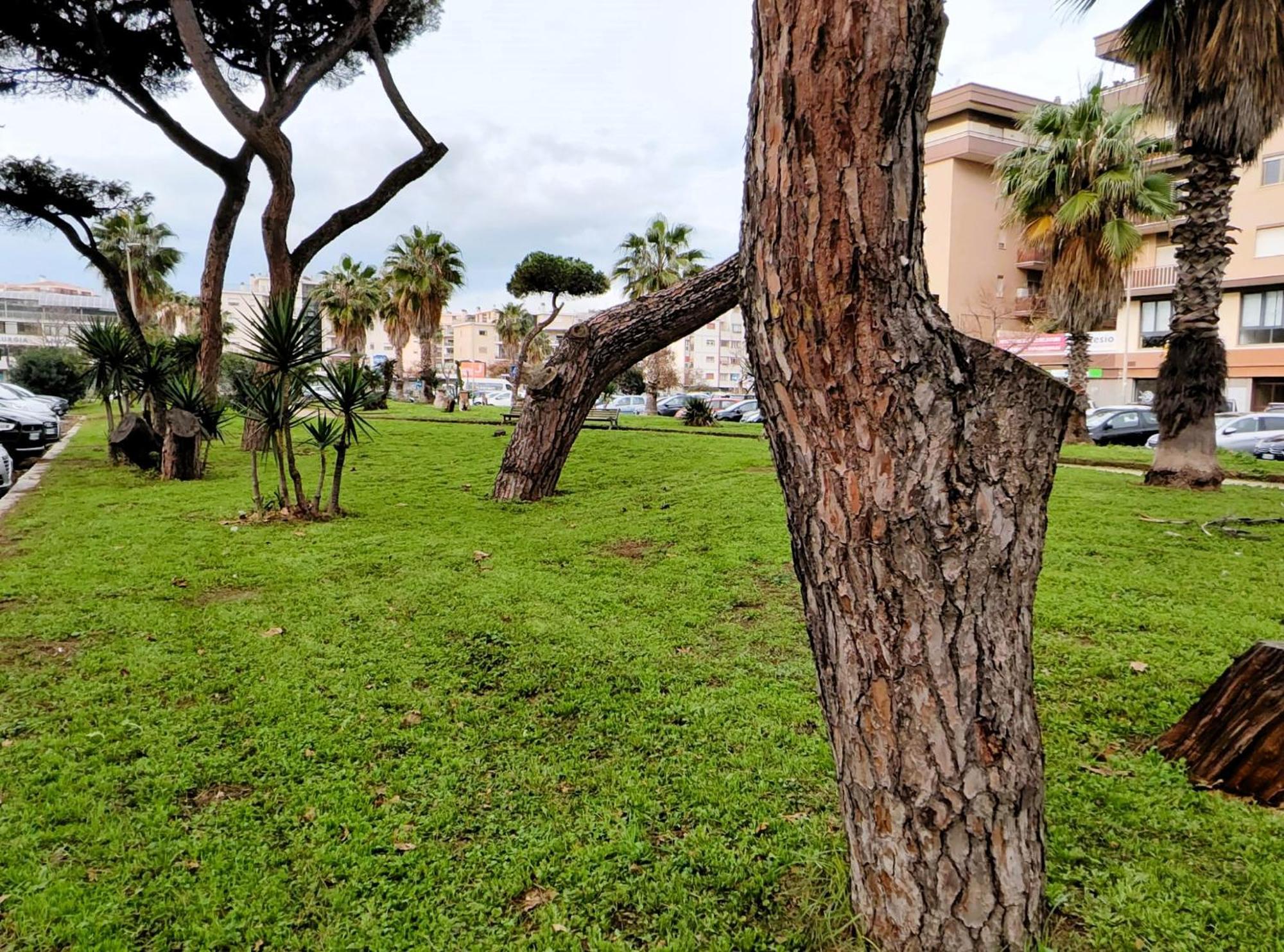 Euforbia House Lejlighed Lido di Ostia Eksteriør billede