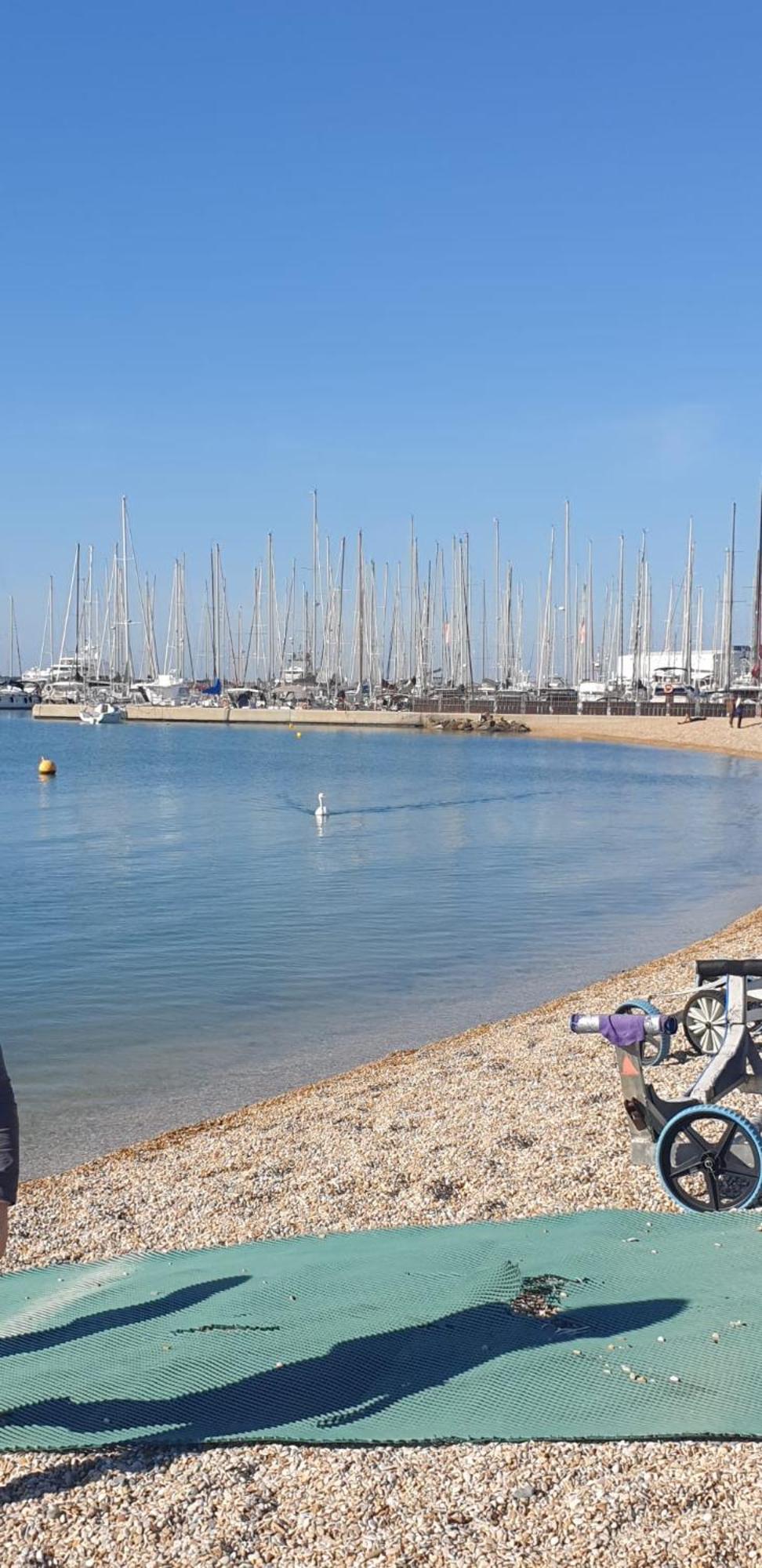 Euforbia House Lejlighed Lido di Ostia Eksteriør billede